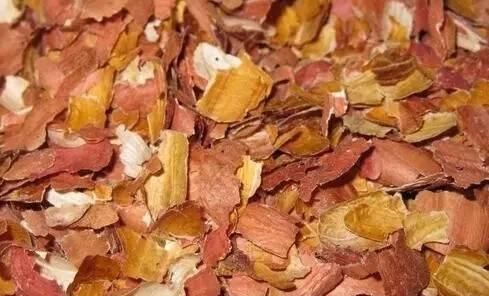 血压|要想稳住血压和血脂，每天记得吃点它，因为便宜，很多人都忽略了