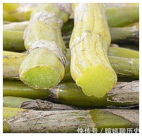 雌激素|女人再节俭6种碱性食物也要吃,补充天然雌激素,防早更显年轻