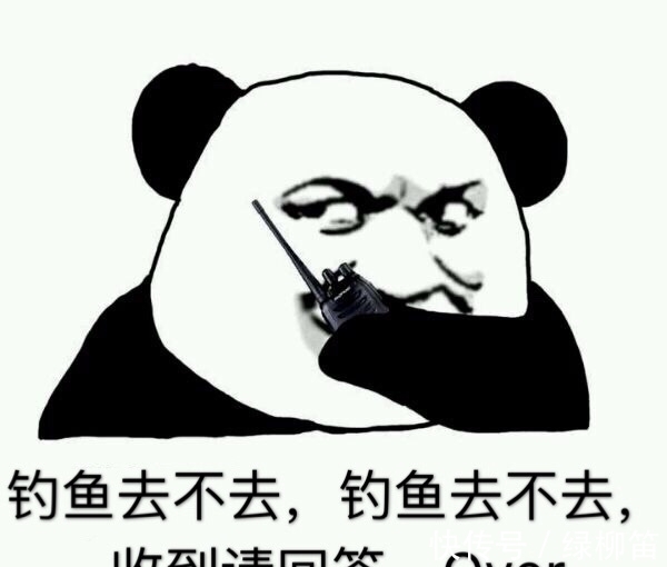 85%的钓鱼人都不知道的,垂钓冷知识,若读懂,鱼获倍增