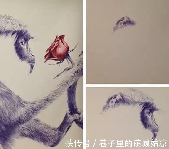 王昱珩|被《人民日报》表扬,1000万姑娘都想嫁,他将家变成热带雨林