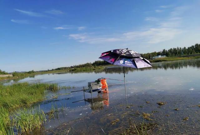 夏钓没口，浮漂成了“定海神针”，不是水里没有鱼，你得用这4招