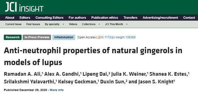 中性粒细胞|「新进展」生姜竟然是抗炎药，治疗自身免疫性疾病有了新思路