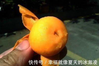 海蛎子|慢性咽炎一直反复?经常吃点天然“咽炎药”,轻松摆脱困扰