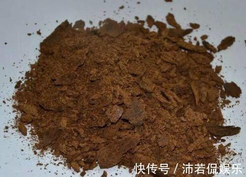 肥水|秋季养“蟹爪兰”，10天浇1碗肥水，开花多3倍，花朵大、花色艳