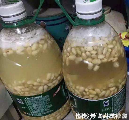 肥效|2种肥料，每家都有，养花最拿手，肥效是磷酸二氢钾的10倍