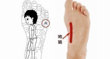 肝气|脚底那根“地筋”如果很僵硬，比较容易得病！肝不好的人请揉开它
