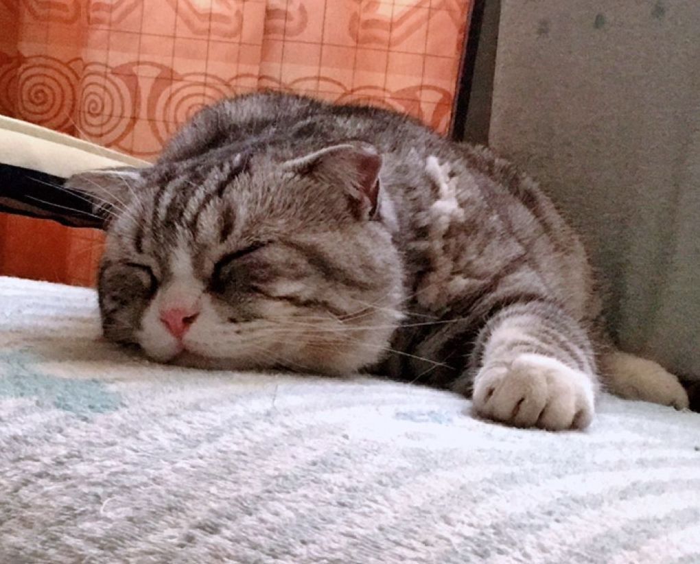 等我们老了,找个院子,清晨养花,傍晚喝茶。