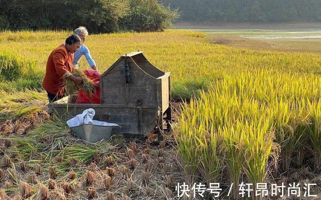 老人|“别带儿子去银行取钱”七旬老人含泪倾诉,这才是育儿真相