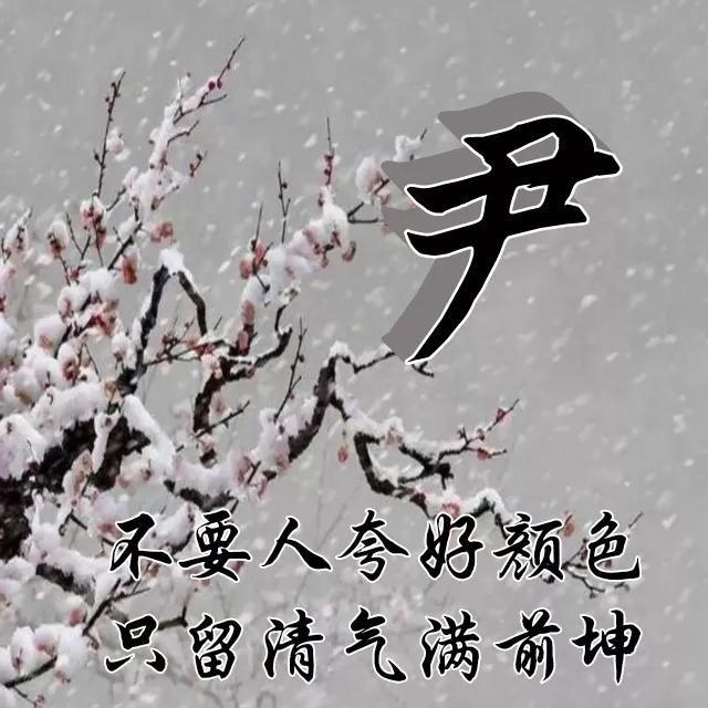  红梅|红梅花儿开，朵朵放光彩，千里冰霜脚下踩