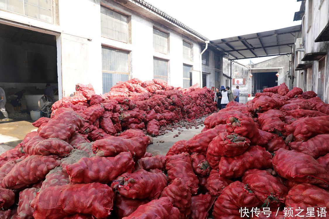 番薯的花样吃法,舌尖上的美食,只问吃过几种