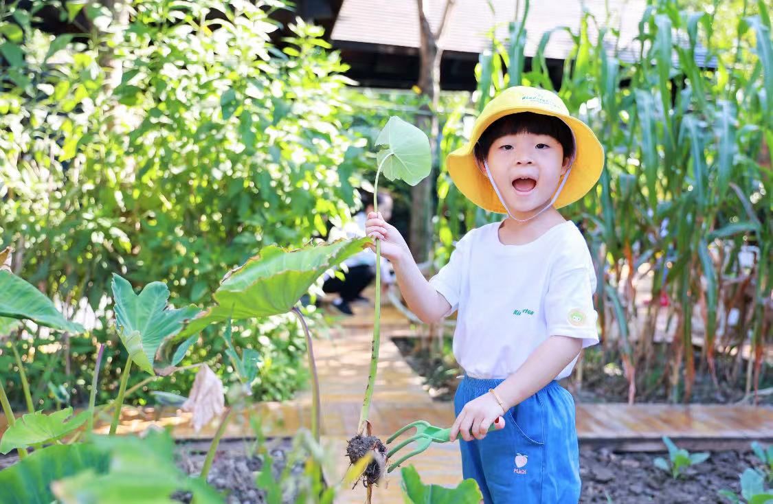 幼儿|雨天能去外面玩吗、可以去户外写生吗？这些上海的幼儿园里，每天户外两小时玩什么孩子说了算！