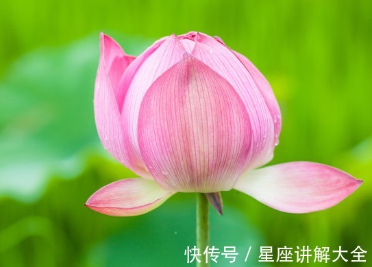 金生水之局|进入7月中旬,4属相桃花朵朵开,喜事自然来,未来充满了希望