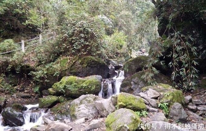 避暑|中国最美峡谷风景区-卧龙谷 最高的避暑休闲、清心养身的天然胜地