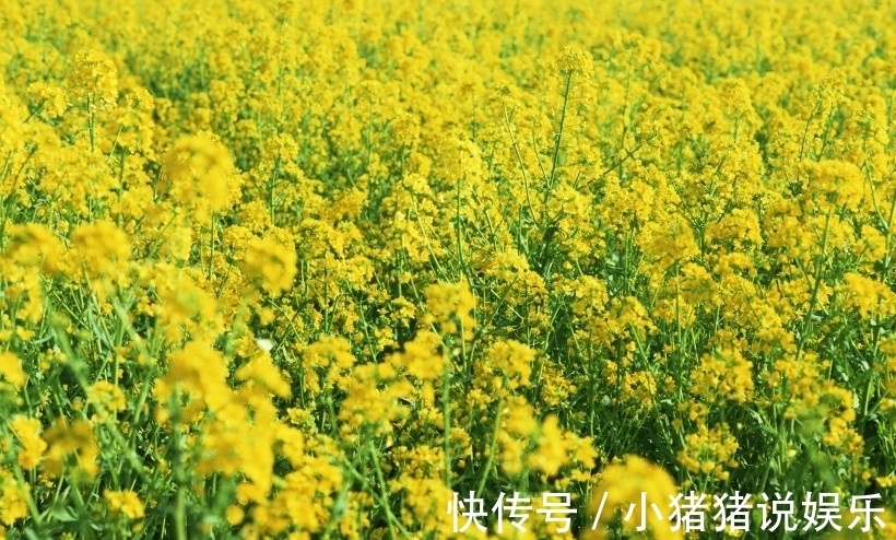 水瓶座|不会随便追求人的星座,虽然不擅长追女生,但是却很容易让人敬重