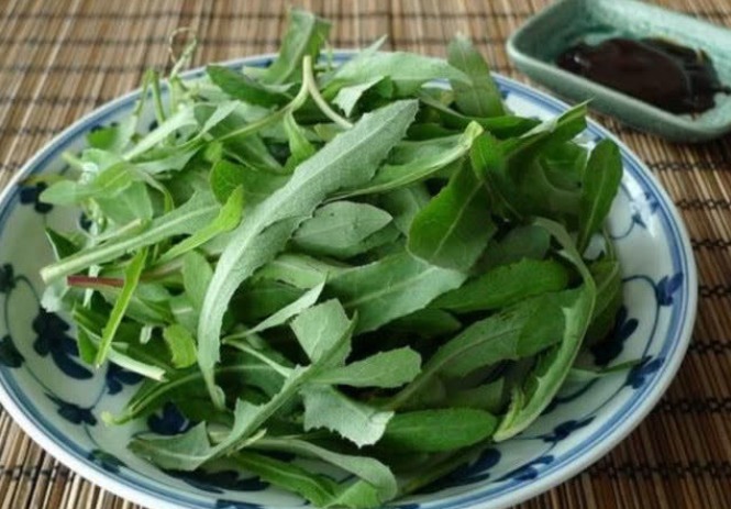 苦瓜|乡下一种不起眼的野草,价值珍贵,不仅好吃,营养价值丰富