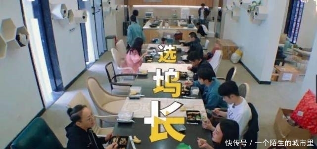 李雪琴 不会吧,《五十公里桃花坞》这么尴尬的节目真的有人看吗