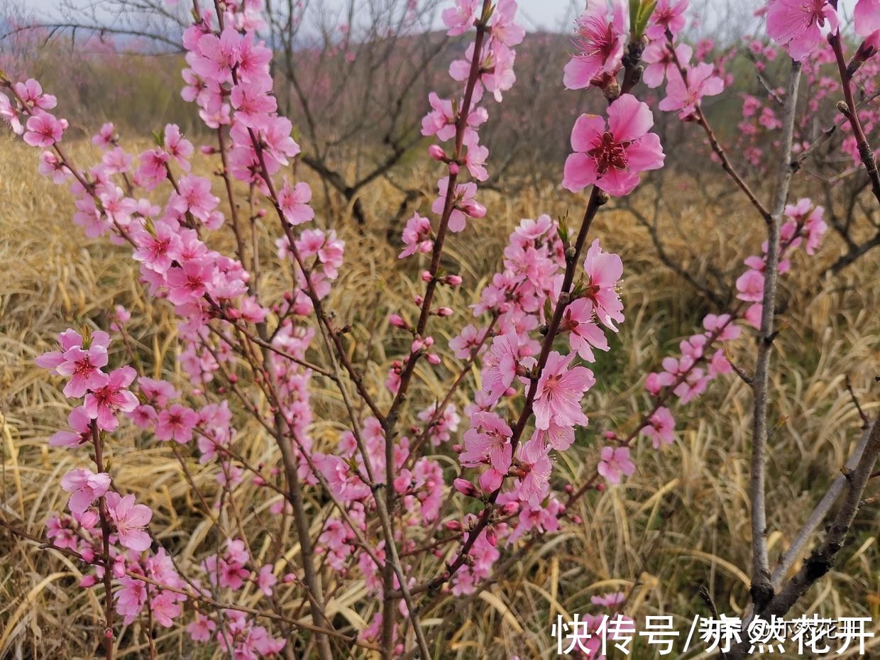 倦怠|自由书写：用写作克服倦怠感，找到改进的方向