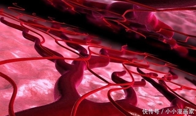 蒲公英|不论男女,五十岁后三道坎,熬过之后,就等待迎接长寿的洗礼吧!