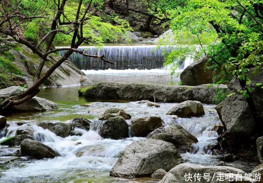 老年|原来河南有如此美艳的仙山，水秀山明，步步皆景，太惊艳了