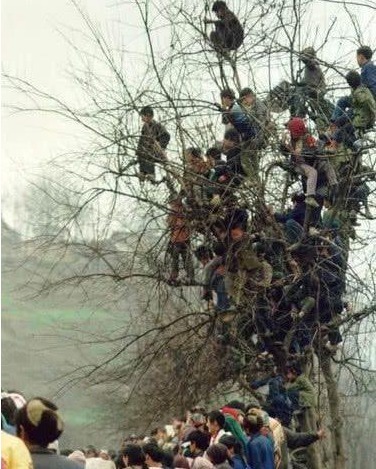 |搞笑图片幽默段子笑话下了好大的雪呢,汽车都被埋了么哈哈