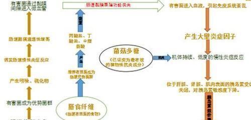 干预|权威研究发现胰岛功能逆转！英国专家：2型糖尿病不是终身性疾病