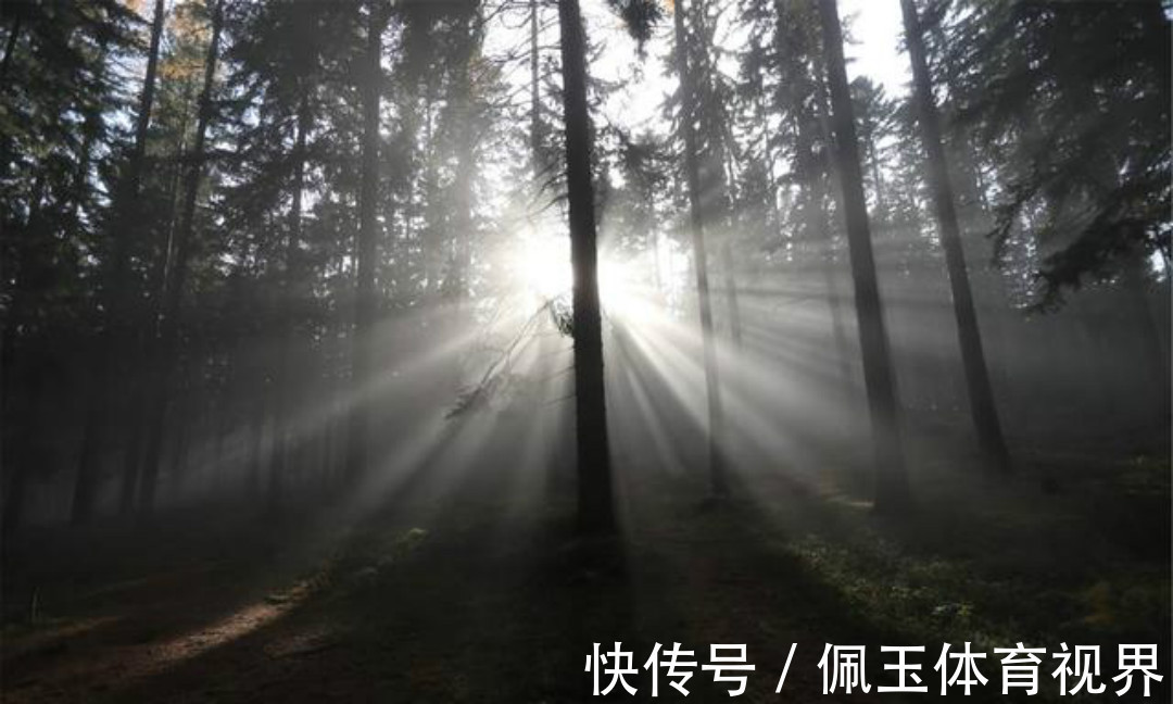 秋夜独坐@王维晚年写下的这首禅诗,通篇意境高远,同时每一句都有大智慧!