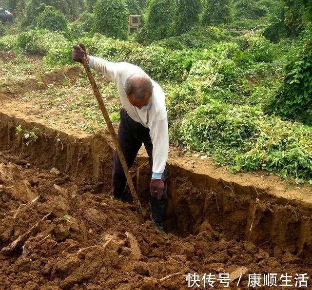 黑巧克力|别看它不起眼, 却是高血压的“天然克星”, 经常吃血压只降不升