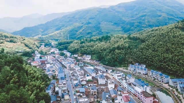 自驾游|周末自驾游，走进遂昌森林氧吧，夏日避暑之地