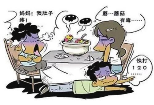 菇类|喝了这碗汤，男子输了2万毫升血浆…