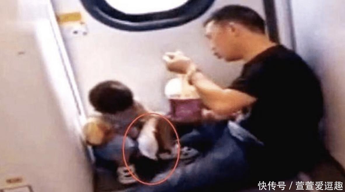孩子|3岁孩子在火车上喊饿,爸爸接下来的动作让网友感动:这才叫炫富