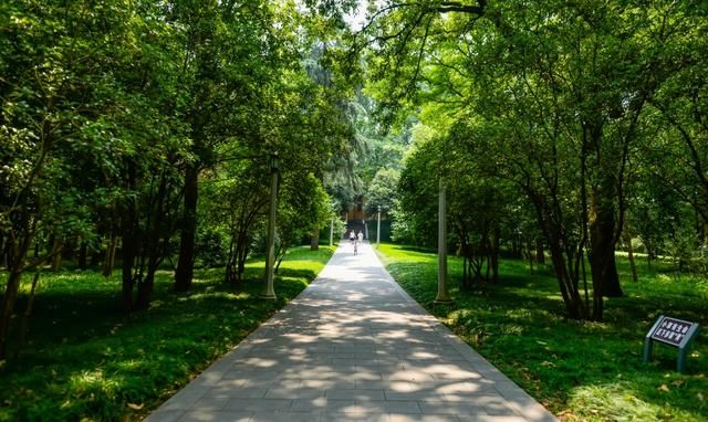 解压|南京有一绝美景区，解压散心首选，满目美景，随手一拍就是壁纸