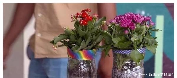 塑料瓶|你扔掉的塑料瓶我用来养花，生根快，开花多，别有一番风味！