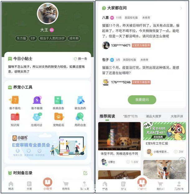 波奇宠物APP竞品分析报告