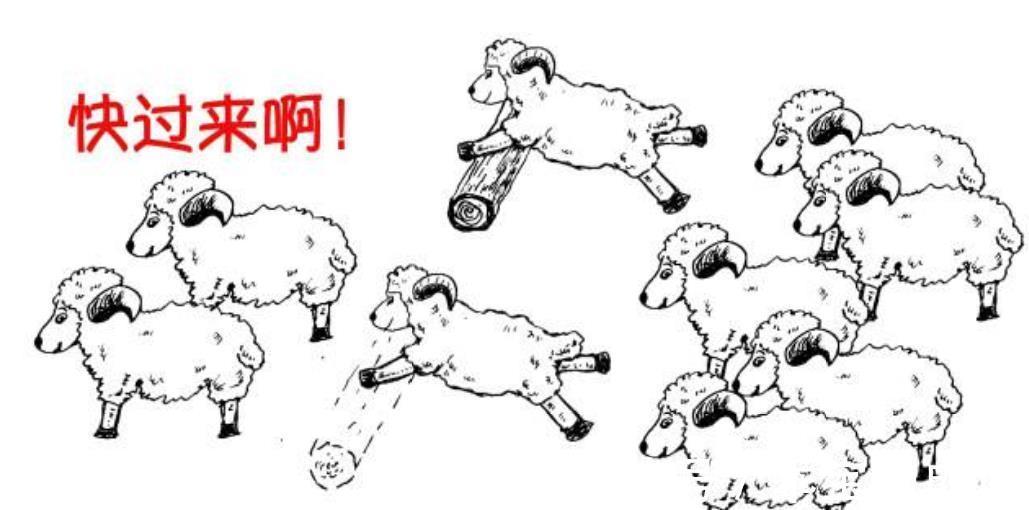 羊群|别人家娃报班我也报?家长盲目跟风,容易陷入“羊群效应”的漩涡