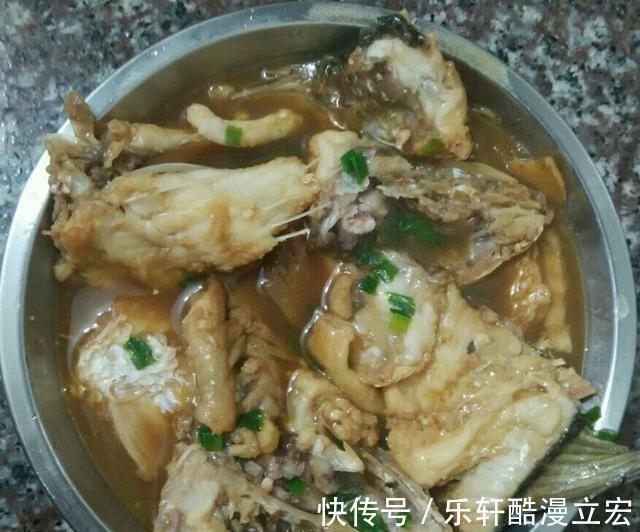 难吃|佛山河道麦鲮鱼大爆发,钓鱼人钓再多也不想吃,肉质不行