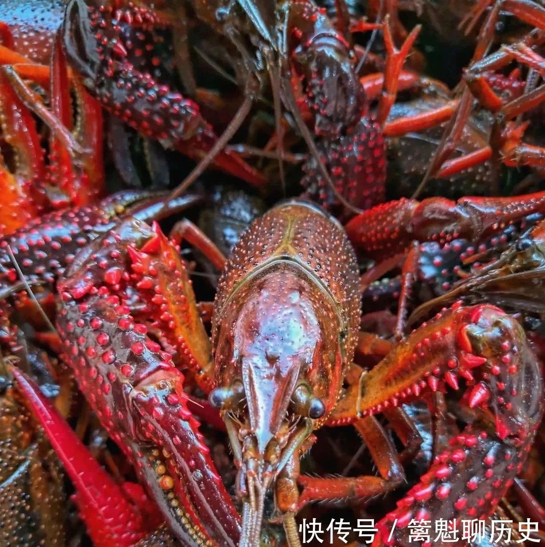 广告如果不想穷一辈子:读懂三不卖七不买是关键,可惜无人知晓