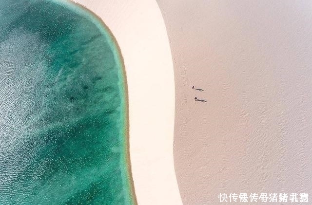 中年|全球最神奇的沙漠：一到雨季遍地是湖泊，生机十足美得醉人！