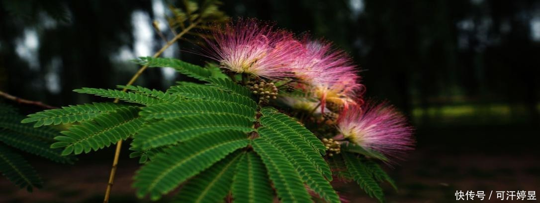 回忆起|回忆起那难忘的春日