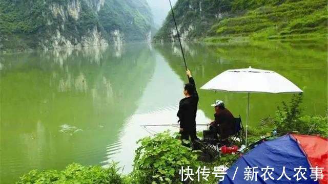 河南一男子冒着严寒夜钓,意外收获9斤大红鱼,到底是哪里来的?