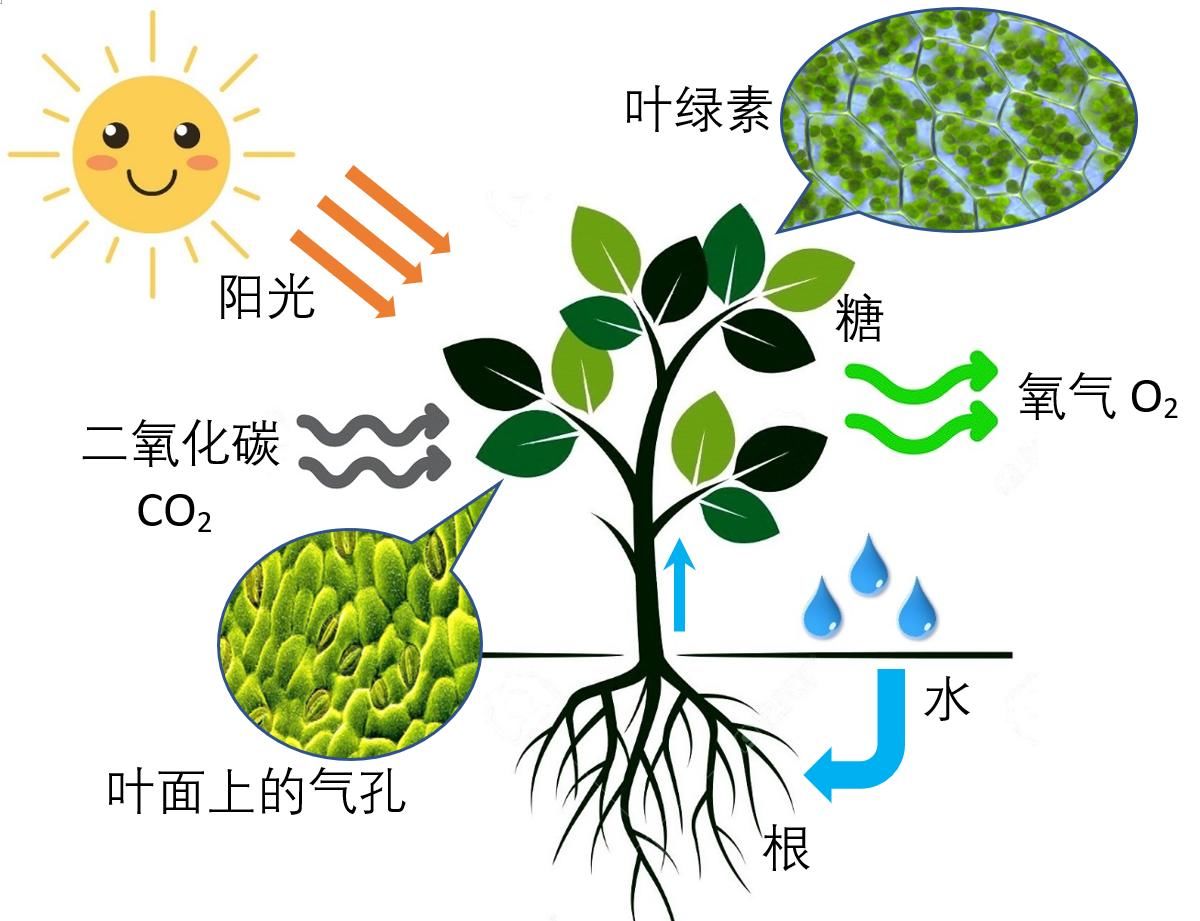 太阳系真的有我们想象的那么安全吗？它都遭受过哪些威胁？