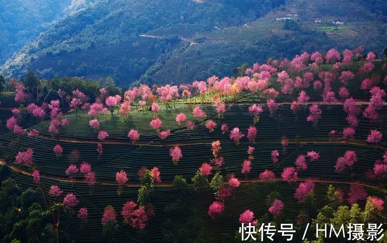 禾木村|抓住秋天的尾巴，快来这8个绝美旅行地，享受当下的美景吧