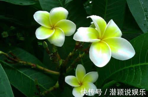 富贵|孩子生于这六天,一辈子不缺钱,享受富贵终生,人生更是顺风顺水