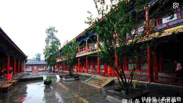 买不起|名副其实的豪宅“恭王府”, 世界首富都买不起, 为何如此之贵