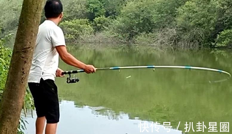 鲤鱼|老司机不会告诉你，夏钓鲤鱼一旦用这3招，天气再热也照样连竿！