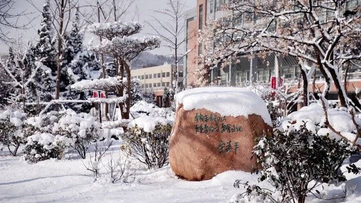 鲁东大学这场雪！太！大！了