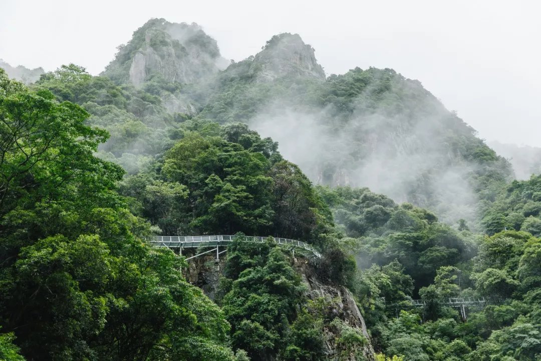 玩转|玻璃漂流、水枪大战、水上闯关..一票在手玩转龙湾潭森林浪浪节