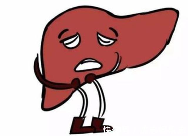 食物|再三强调让家人尽早停止食用2种食物,或是肝病的“温床”