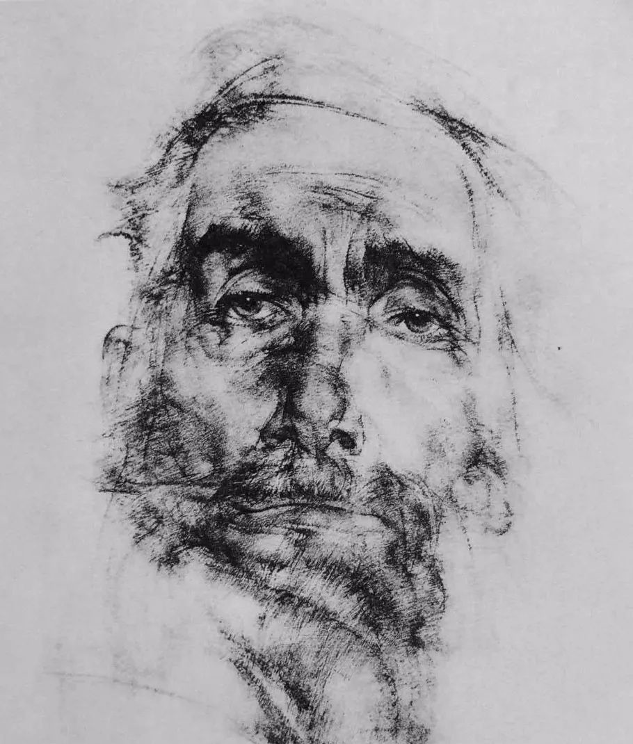 陶斯$如果没有一定的素描功底，是画不出这样经典作品的