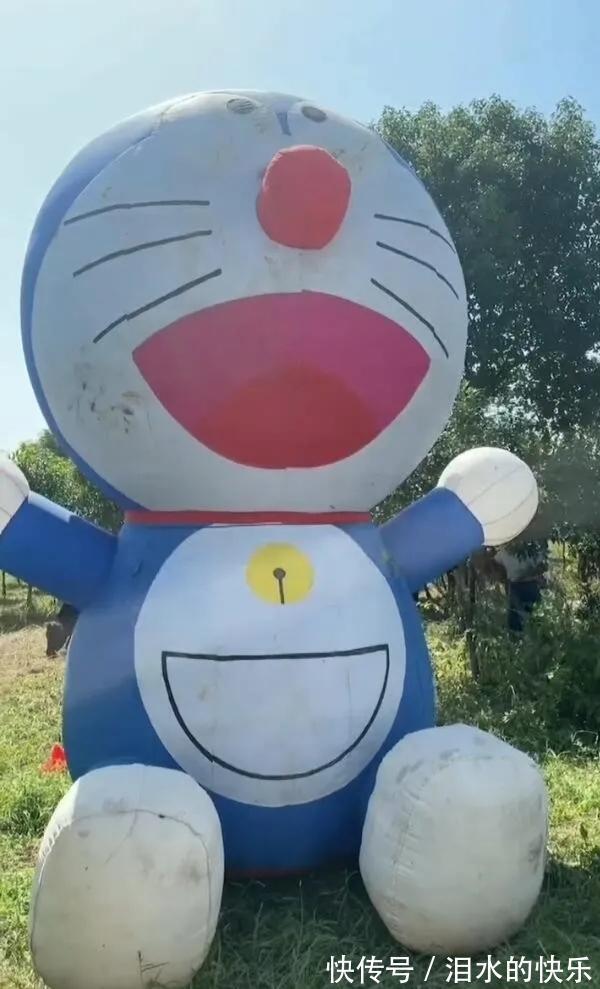 |今日笑话:下雨天出门的狗狗