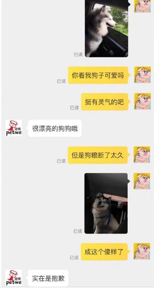 地下党|“再不发货我男朋友就不行了”哈哈哈这也不必吧！